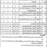Ministry of Youth Affairs Latest Punjab Jobs 483+