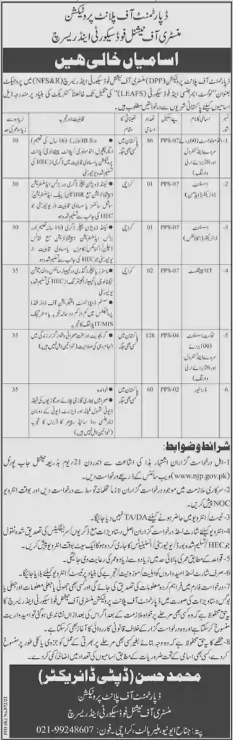 Ministry of National Food Security & Research Jobs 2022