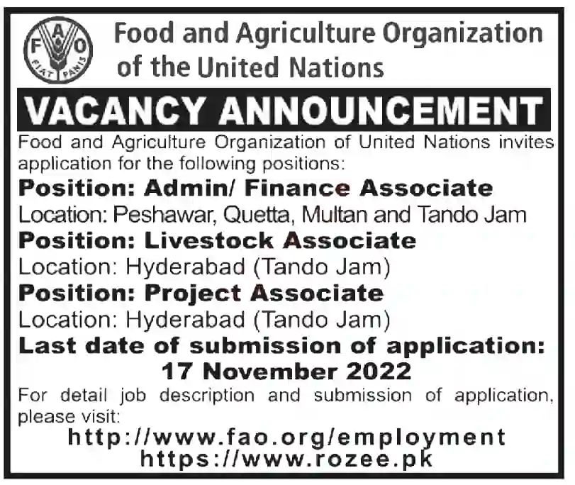 Food And Agriculture Organization Multan Jobs
